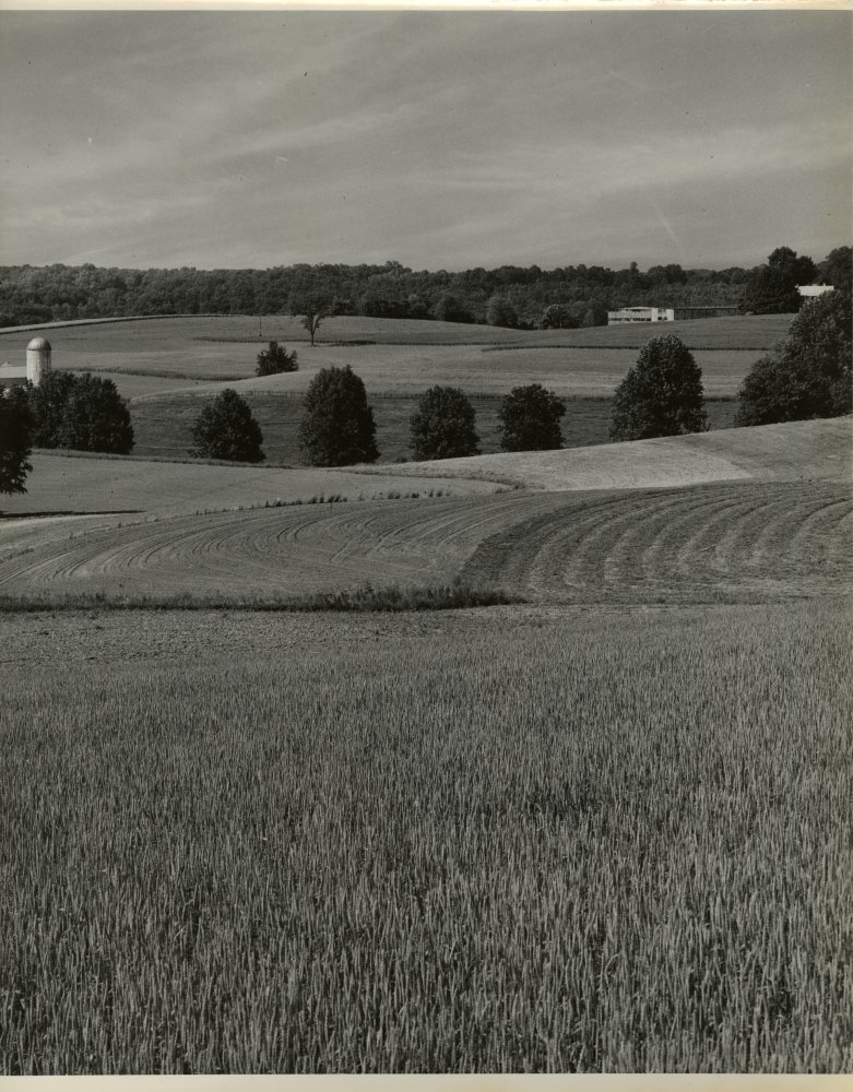 28-001 (click for large image)